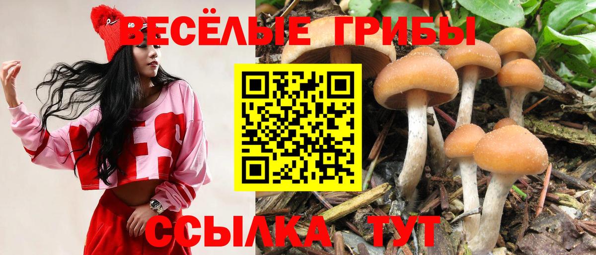 Галлюциногенные грибы Magic Shrooms Кириши