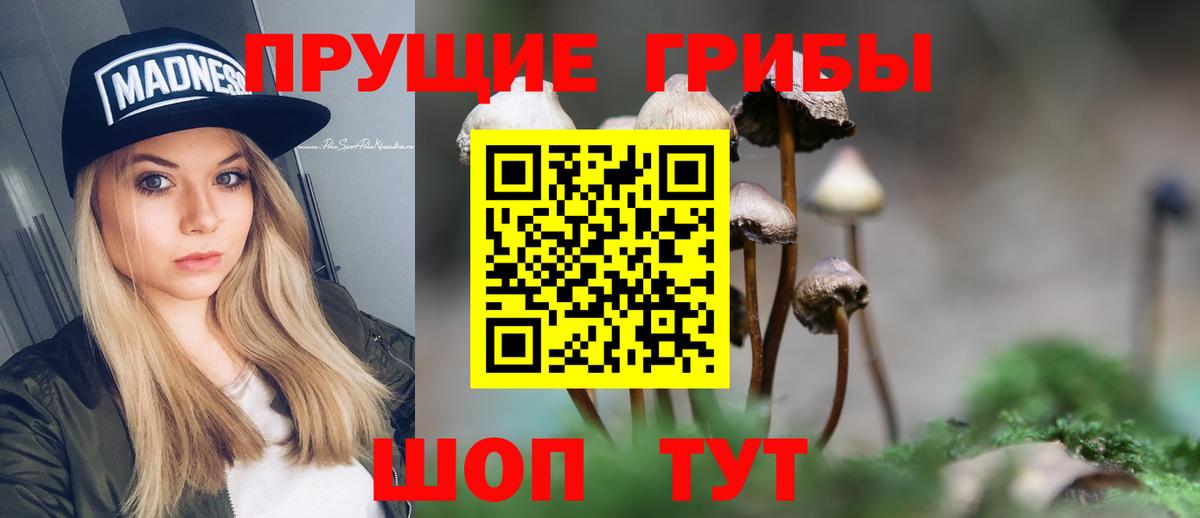 Галлюциногенные грибы мицелий  Вход с VPN  наркота  Кириши 